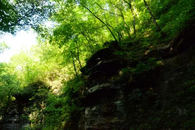 DSC_2778 (Large).JPG